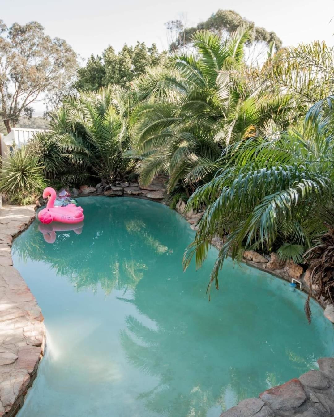Thyme Wellness Spa And Guesthouse ケープタウン エクステリア 写真